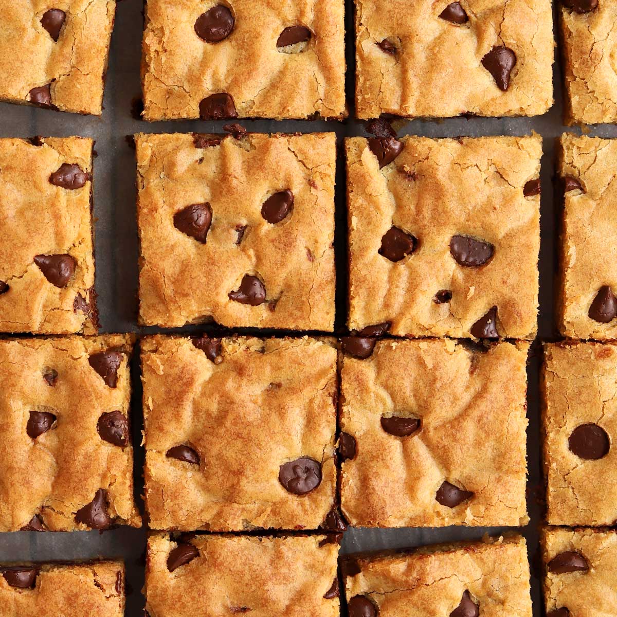 Easy Chocolate Chip Blondies: Ooey-Gooey Perfection in Under an Hour